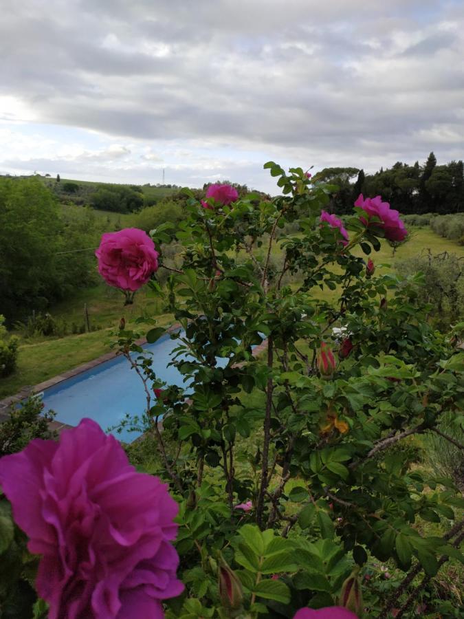 Apartment Poderi In Chianti Tavarnelle Val di Pesa